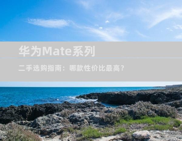 华为Mate系列二手选购指南：哪款性价比最高？