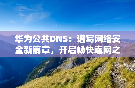 华为公共DNS：谱写网络安全新篇章，开启畅快连网之旅